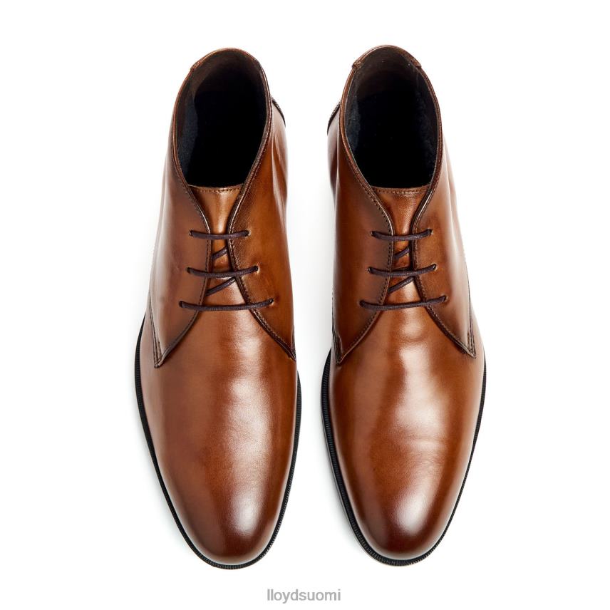 kenkiä LLOYD feliciano ruskea miehet 2N8DX54