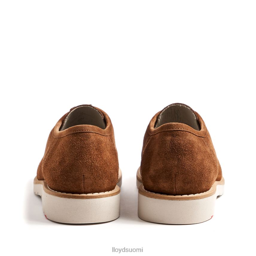 kenkiä LLOYD levi ruskea miehet 2N8DX210
