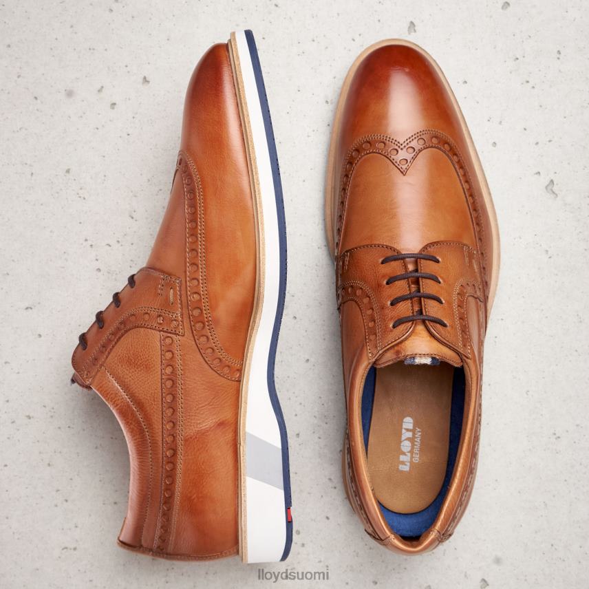 kenkiä LLOYD nafir ruskea miehet 2N8DX247