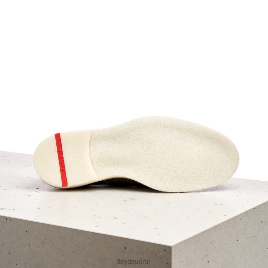 kenkiä LLOYD palma ruskea miehet 2N8DX226