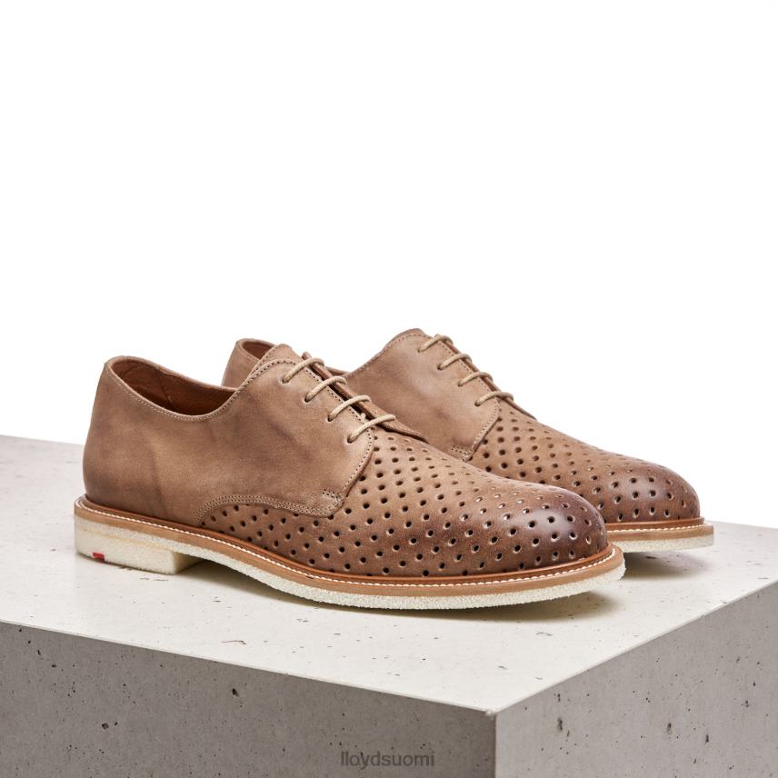 kenkiä LLOYD parkkeri ruskea miehet 2N8DX213