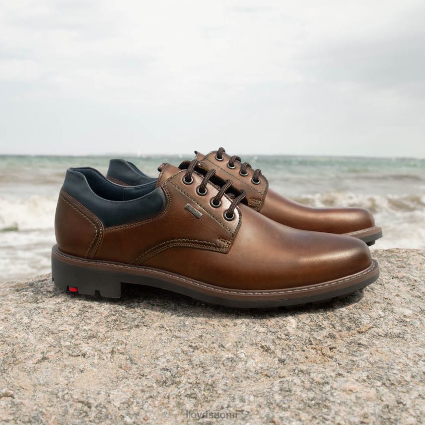 kenkiä LLOYD vanja ruskea miehet 2N8DX576