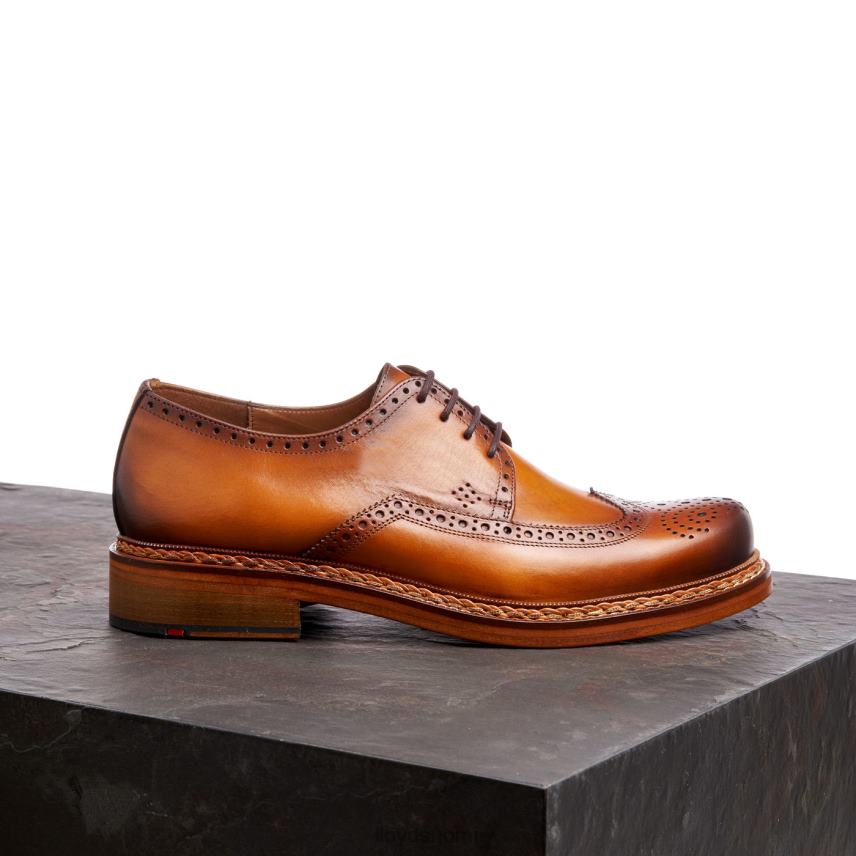 kenkiä LLOYD wotan ruskea miehet 2N8DX163