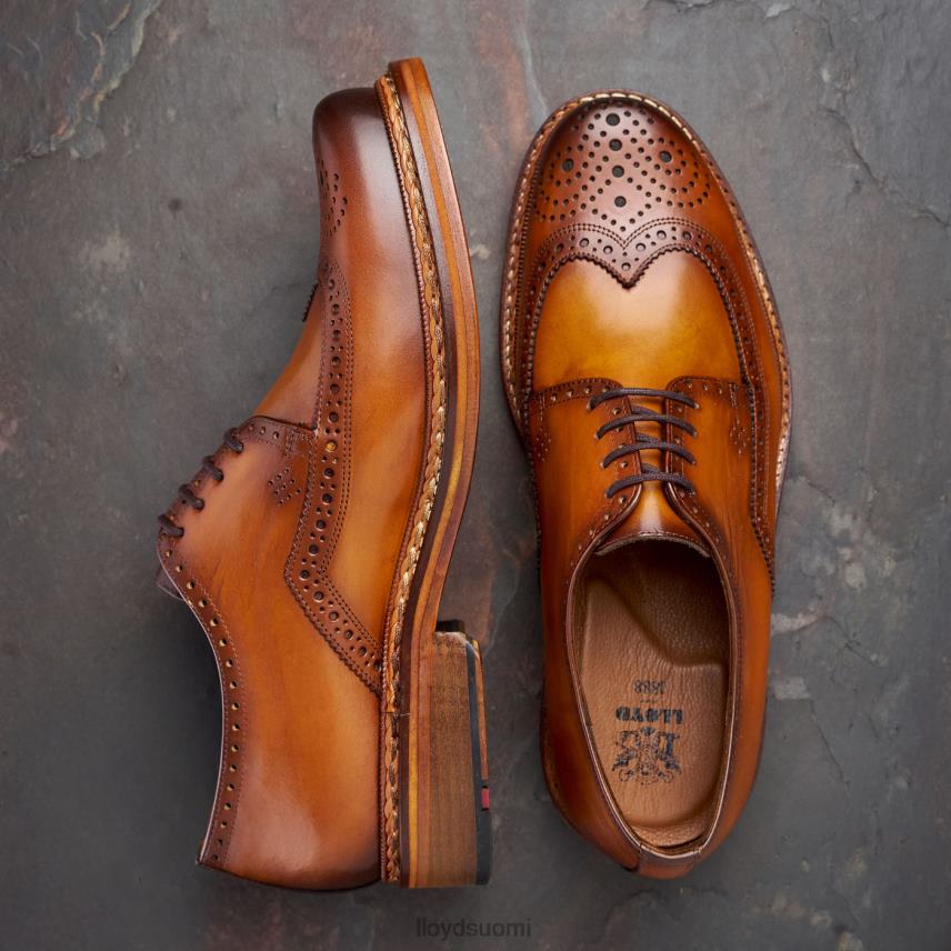 kenkiä LLOYD wotan ruskea miehet 2N8DX163