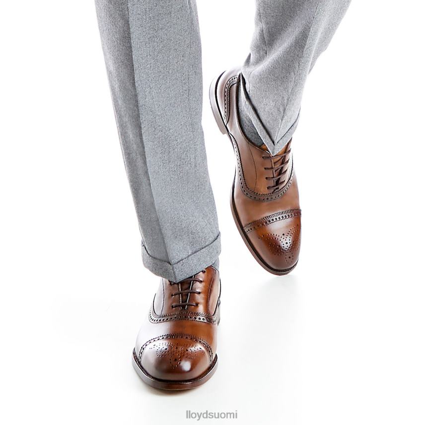 kenkiä LLOYD Sheffield ruskea miehet 2N8DX219