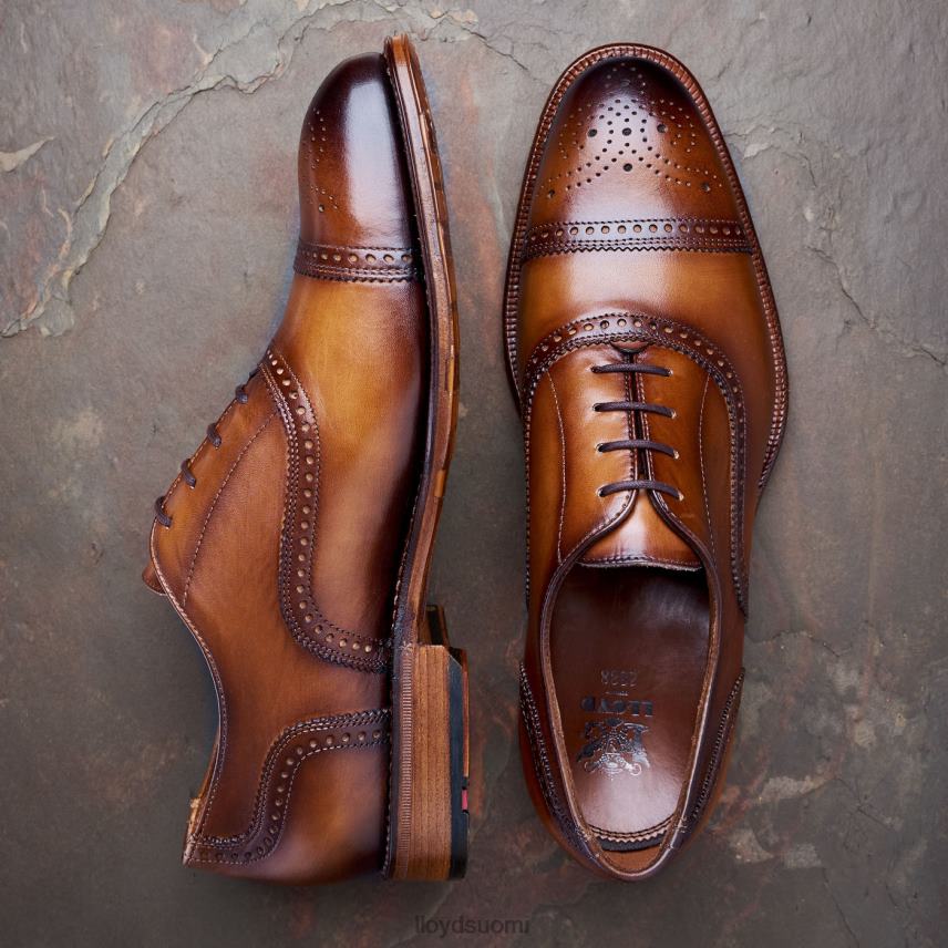 kenkiä LLOYD Waterloo ruskea miehet 2N8DX21