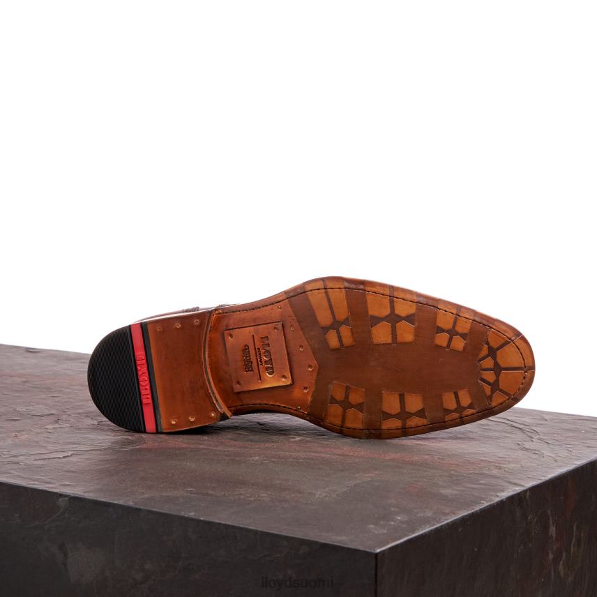 kenkiä LLOYD Waterloo ruskea miehet 2N8DX21