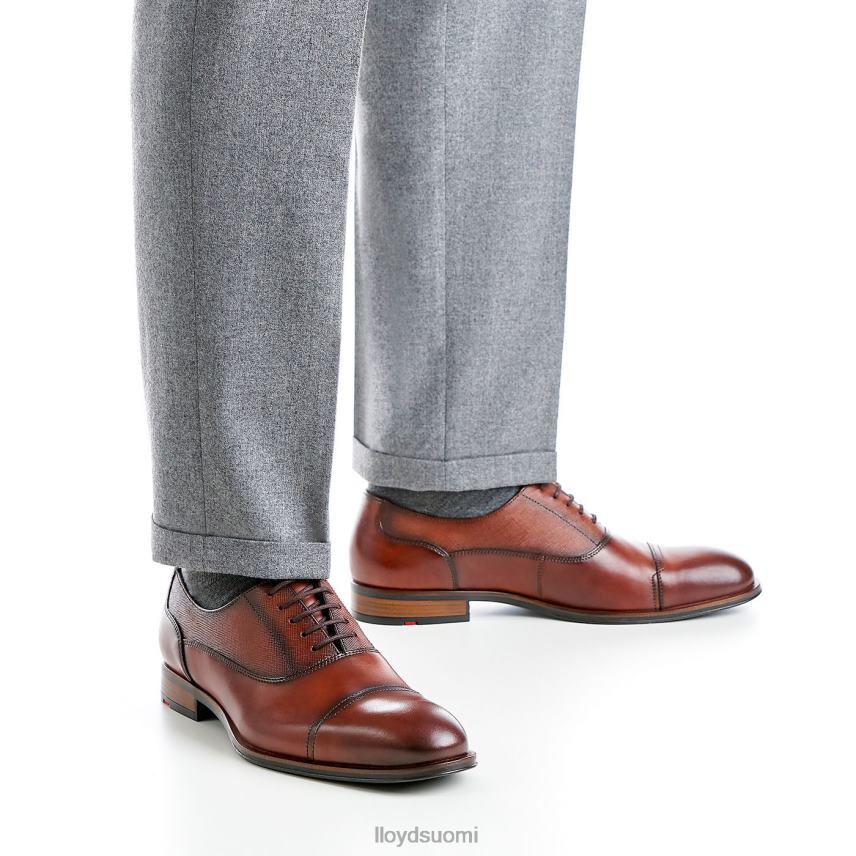 kenkiä LLOYD santiago ruskea miehet 2N8DX238
