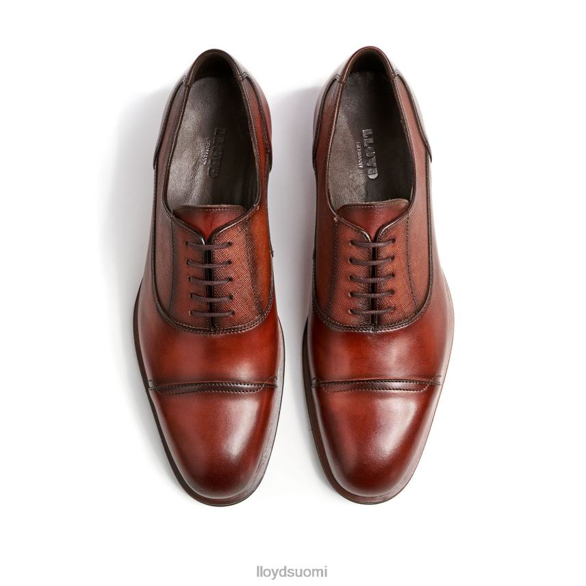 kenkiä LLOYD santiago ruskea miehet 2N8DX238