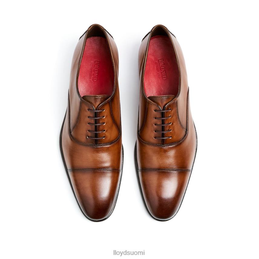 kenkiä LLOYD uima-allas ruskea miehet 2N8DX1