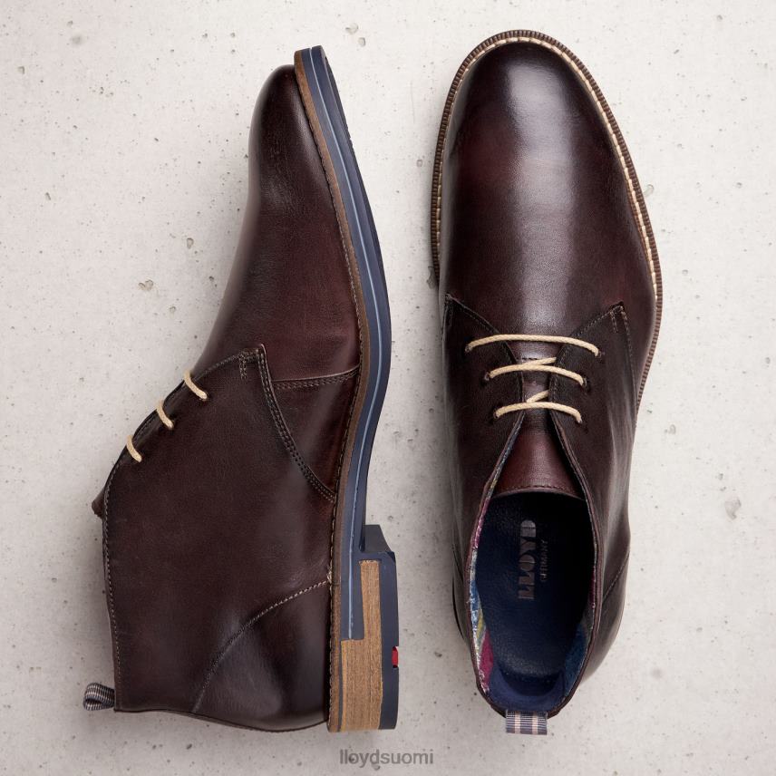 kenkiä LLOYD Daniel ruskea miehet 2N8DX168