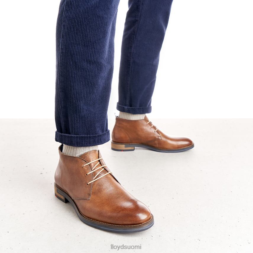 kenkiä LLOYD Daniel ruskea miehet 2N8DX549