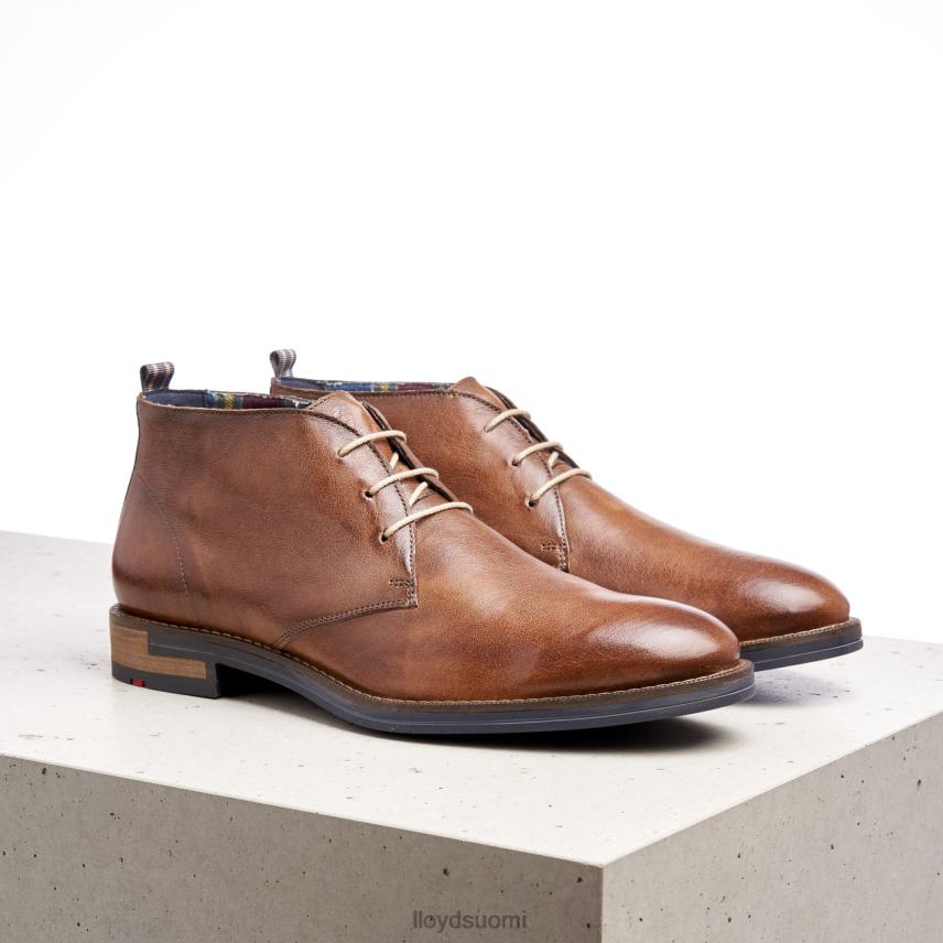kenkiä LLOYD Daniel ruskea miehet 2N8DX549