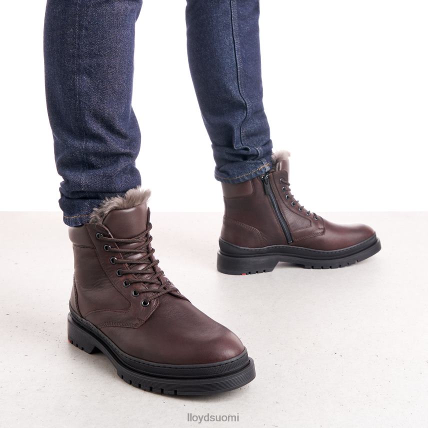 kenkiä LLOYD Hollis ruskea miehet 2N8DX509