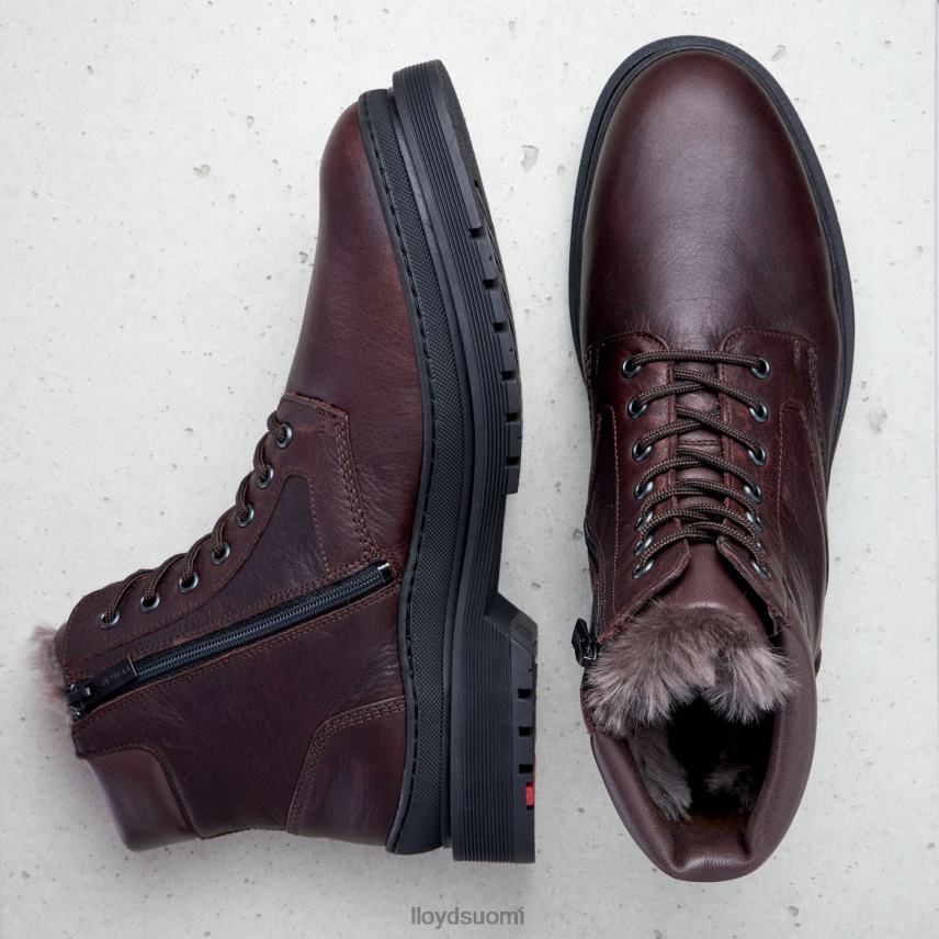 kenkiä LLOYD Hollis ruskea miehet 2N8DX509