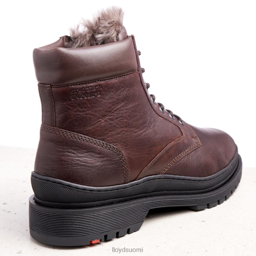 kenkiä LLOYD Hollis ruskea miehet 2N8DX509