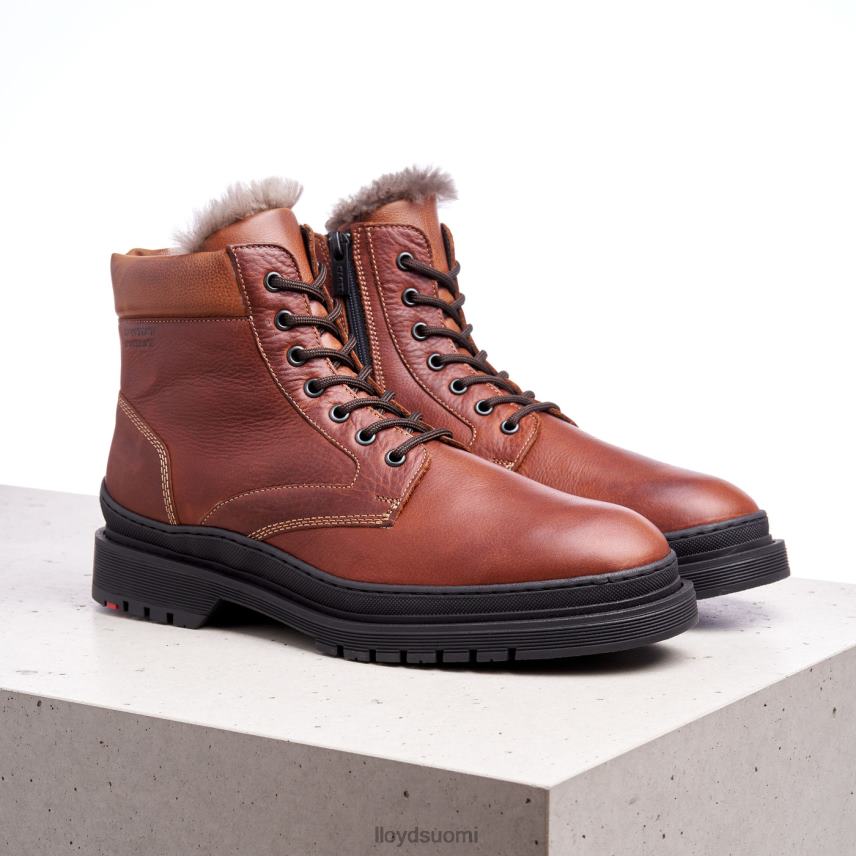 kenkiä LLOYD Hollis ruskea miehet 2N8DX537