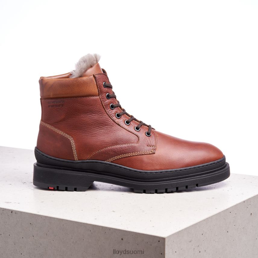 kenkiä LLOYD Hollis ruskea miehet 2N8DX537