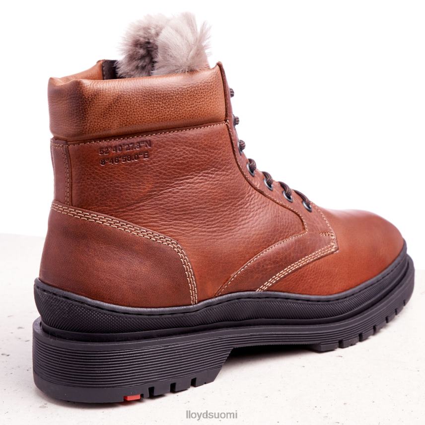 kenkiä LLOYD Hollis ruskea miehet 2N8DX537