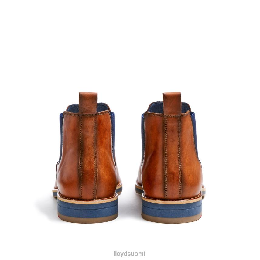 kenkiä LLOYD Lawrence ruskea miehet 2N8DX453