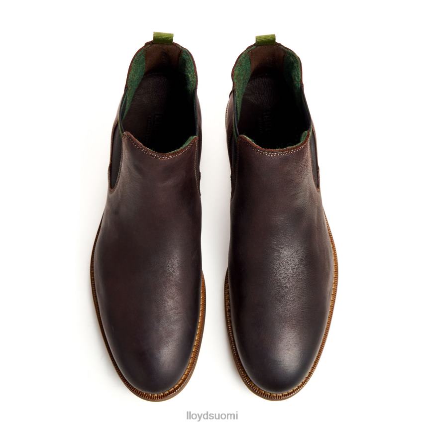 kenkiä LLOYD darry ruskea miehet 2N8DX459