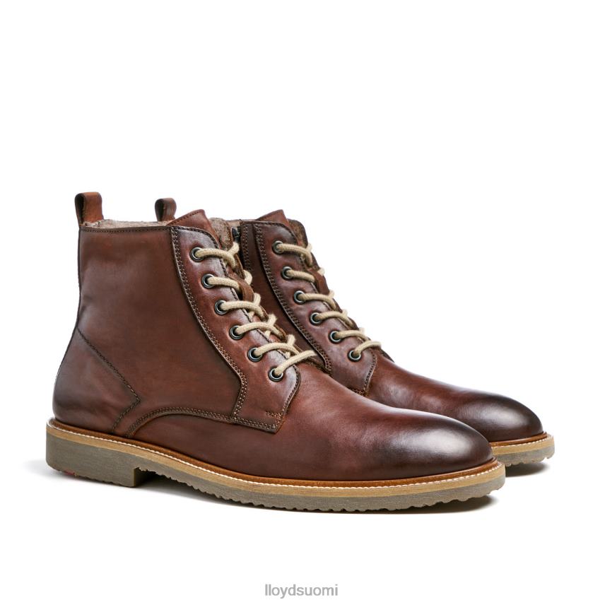 kenkiä LLOYD darwin ruskea miehet 2N8DX475