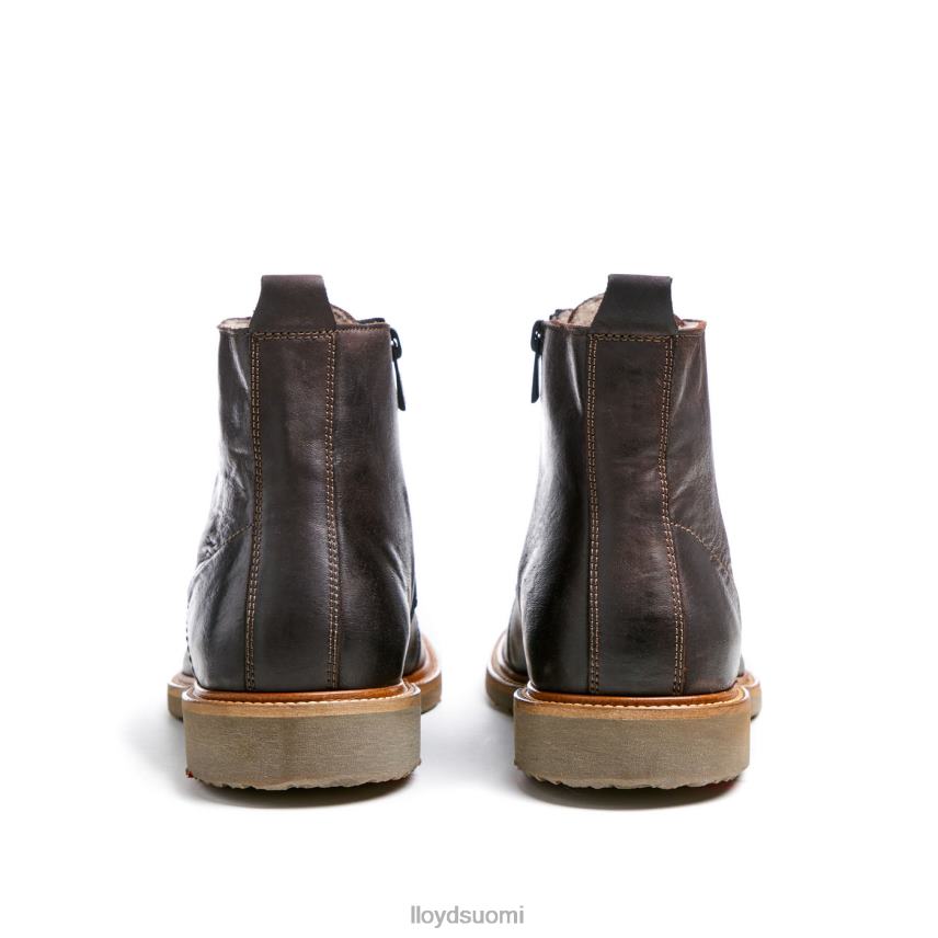 kenkiä LLOYD darwin ruskea miehet 2N8DX476