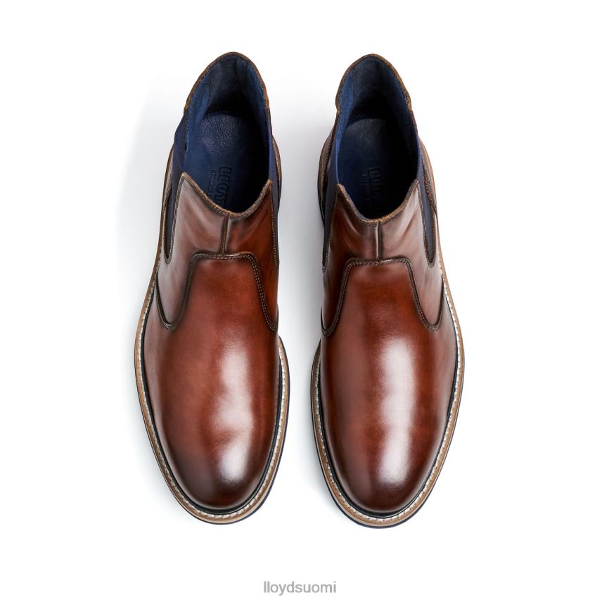 kenkiä LLOYD dexter ruskea miehet 2N8DX469