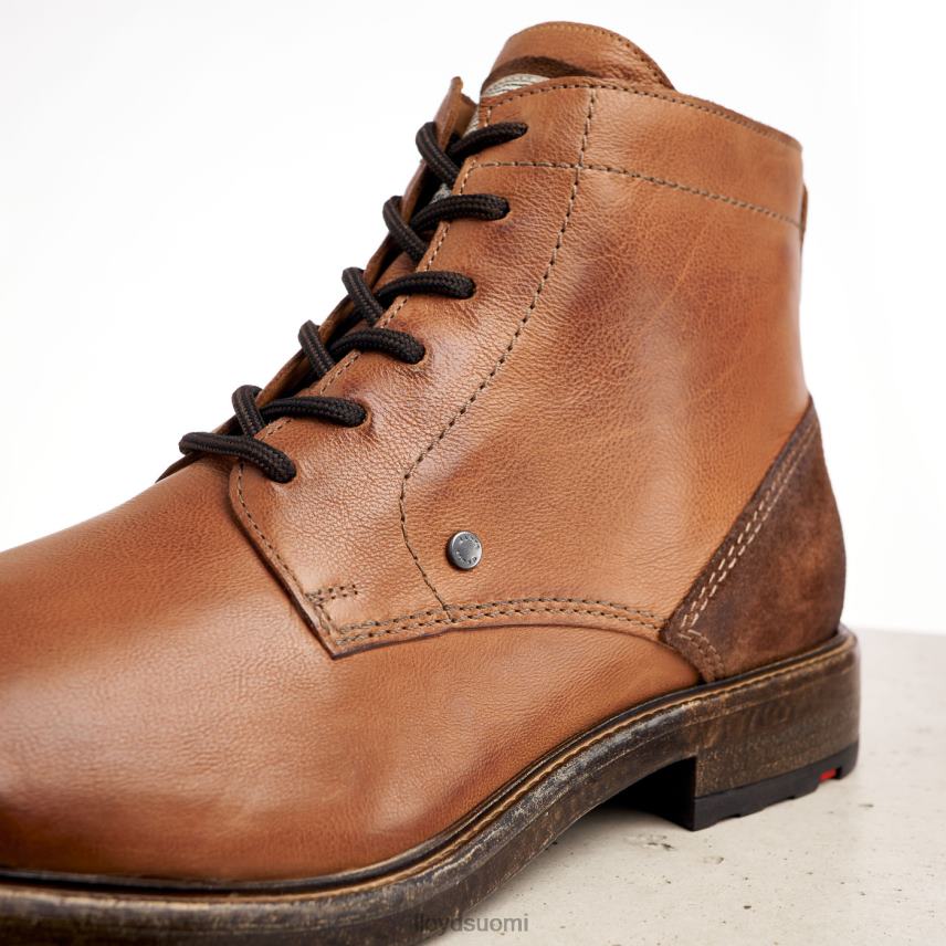 kenkiä LLOYD dwayn ruskea miehet 2N8DX535