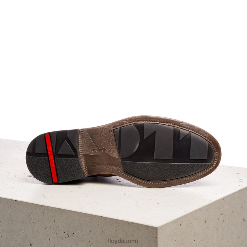 kenkiä LLOYD dwayn ruskea miehet 2N8DX535