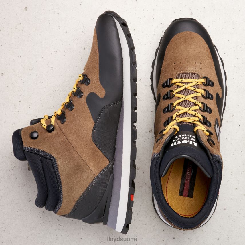 kenkiä LLOYD elwas ruskea miehet 2N8DX551