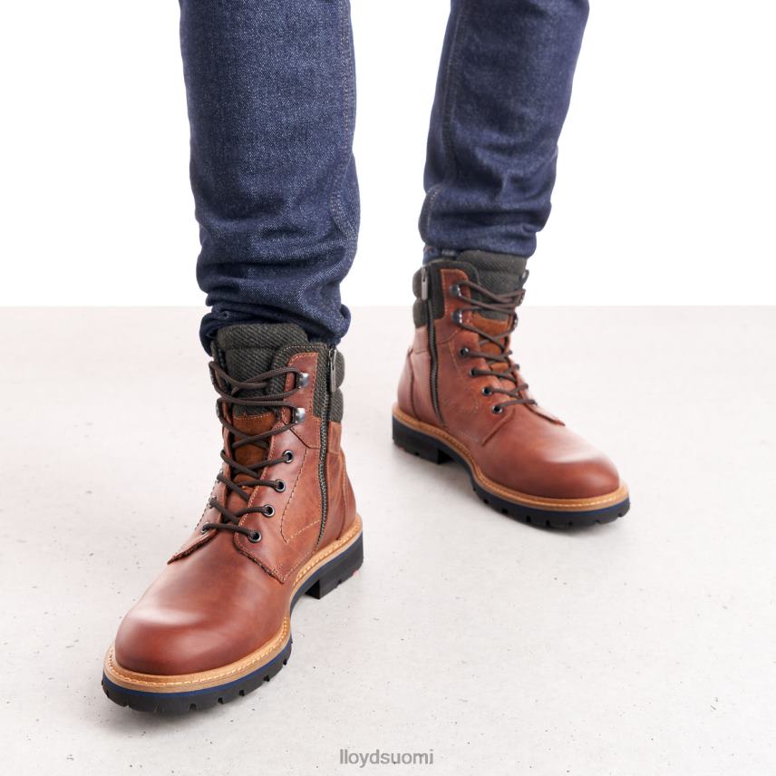 kenkiä LLOYD flavio ruskea miehet 2N8DX506