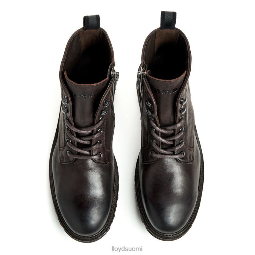 kenkiä LLOYD halifax ruskea miehet 2N8DX483