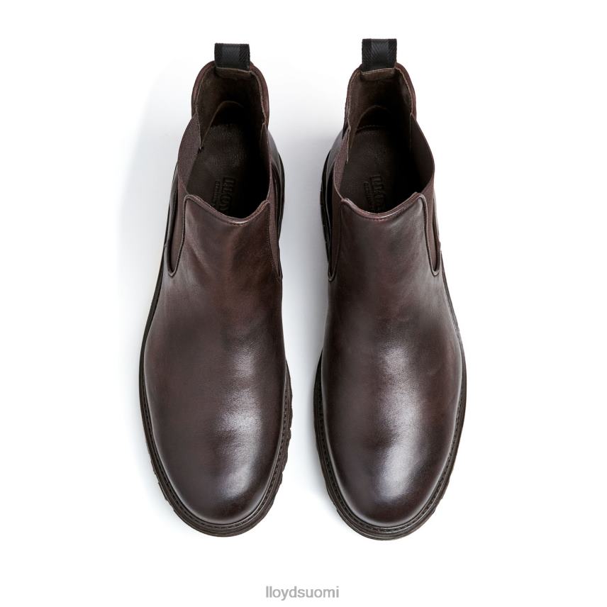 kenkiä LLOYD harwich ruskea miehet 2N8DX478