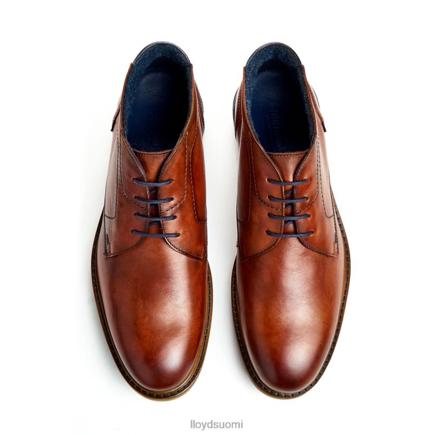 kenkiä LLOYD hengelo ruskea miehet 2N8DX463