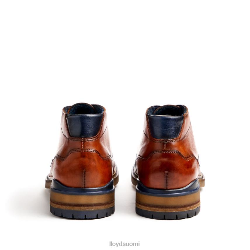 kenkiä LLOYD hengelo ruskea miehet 2N8DX463