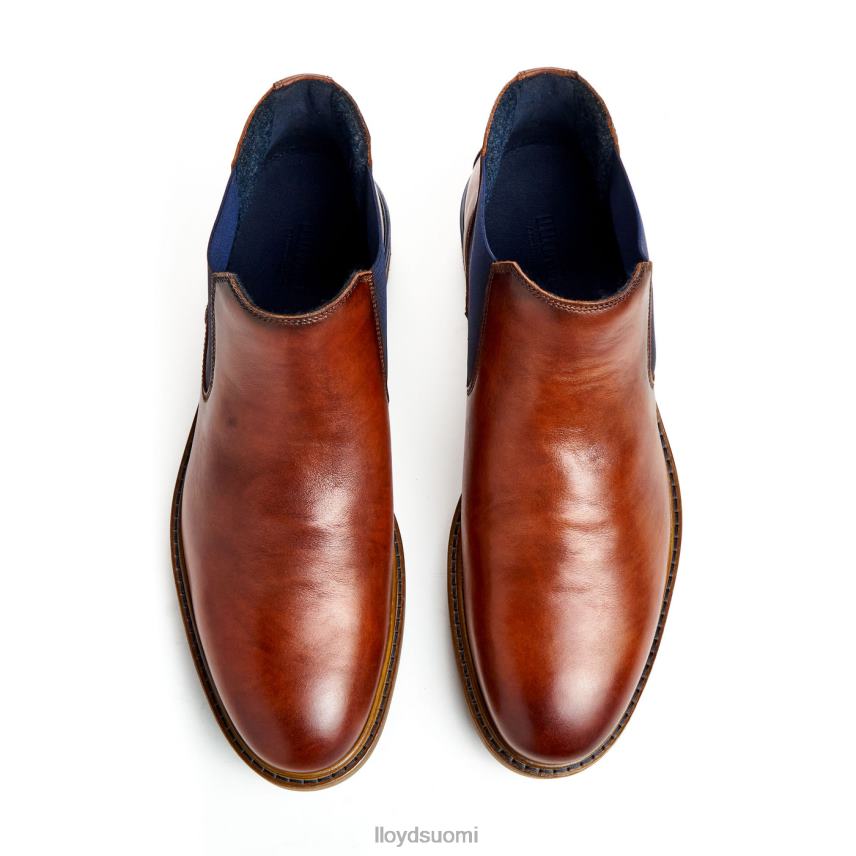 kenkiä LLOYD henry ruskea miehet 2N8DX464