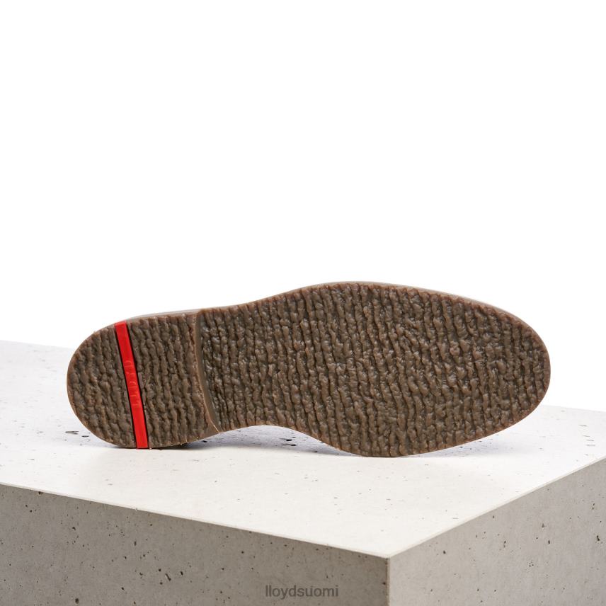 kenkiä LLOYD norko ruskea miehet 2N8DX554
