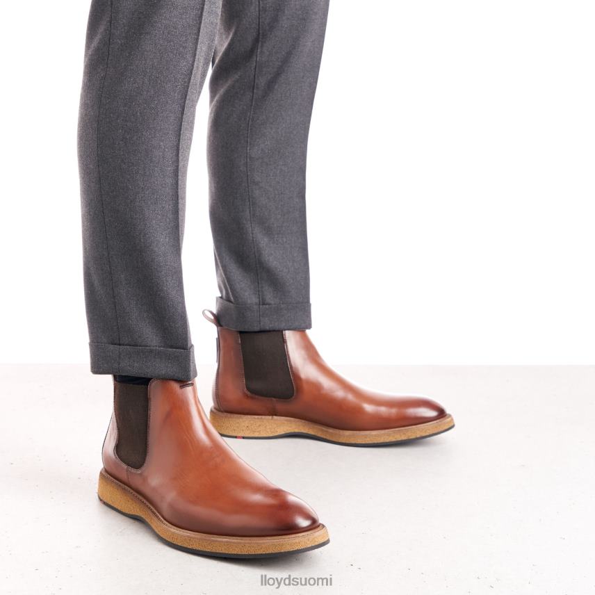 kenkiä LLOYD oris ruskea miehet 2N8DX558