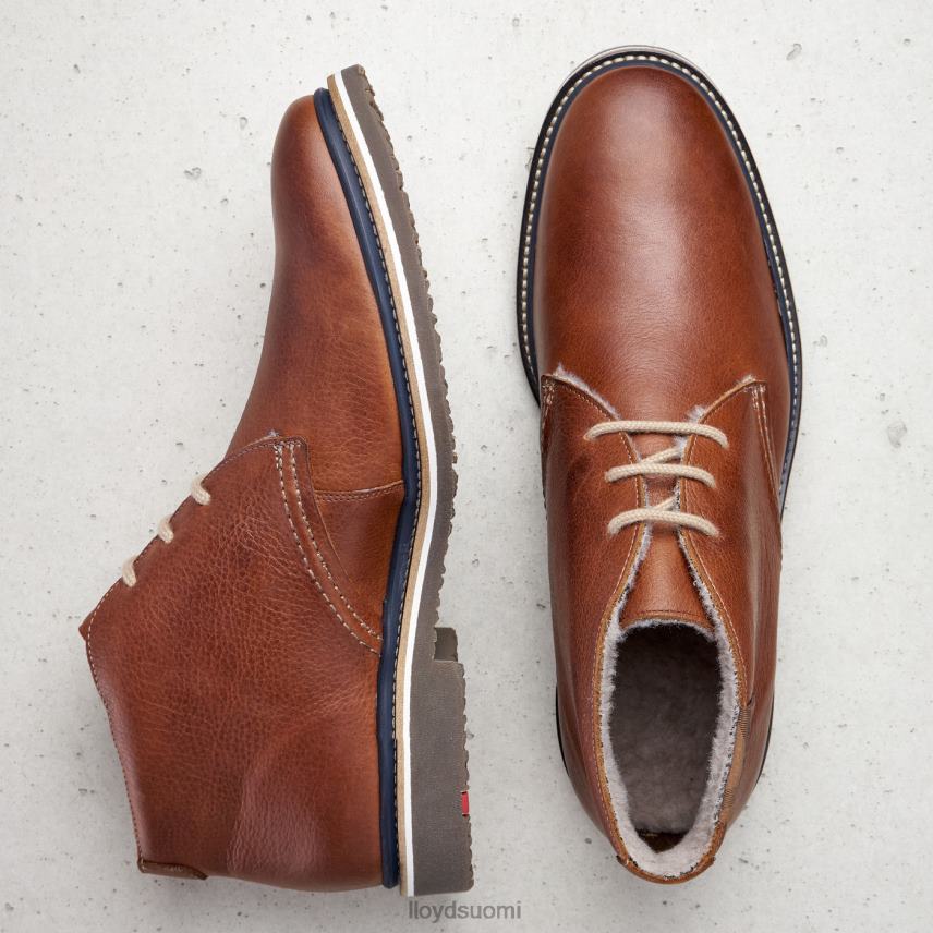 kenkiä LLOYD valencia ruskea miehet 2N8DX507