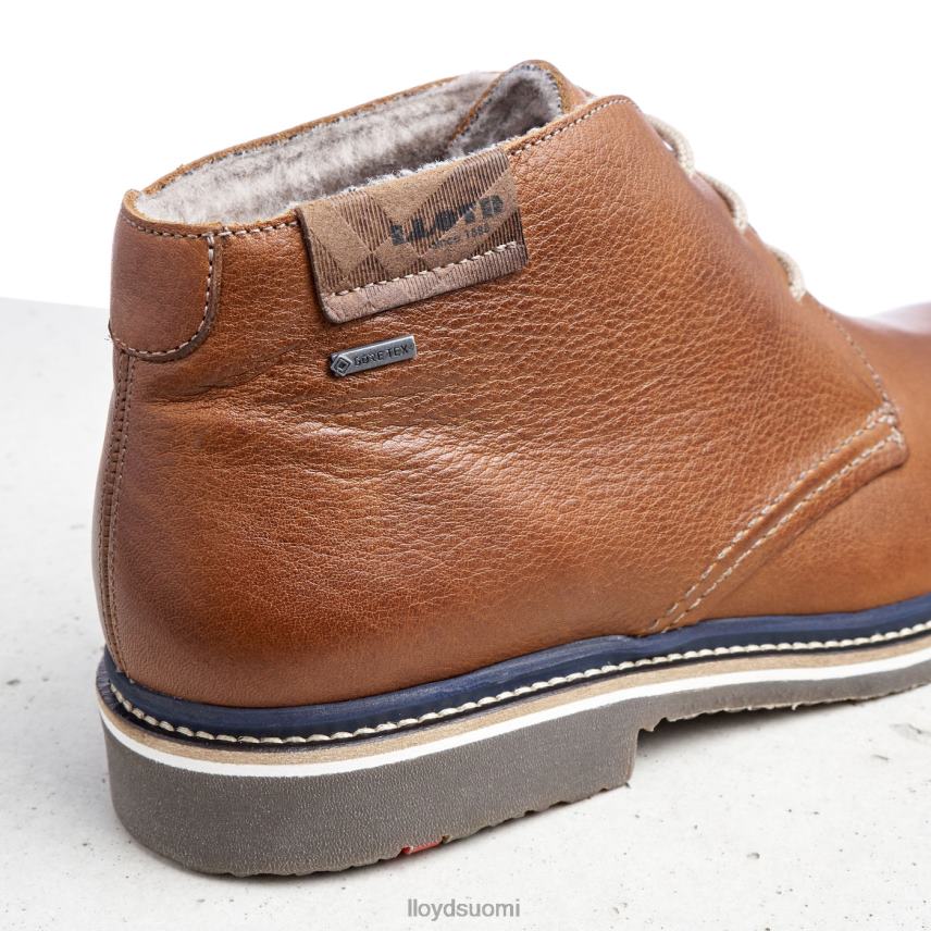 kenkiä LLOYD valencia ruskea miehet 2N8DX507