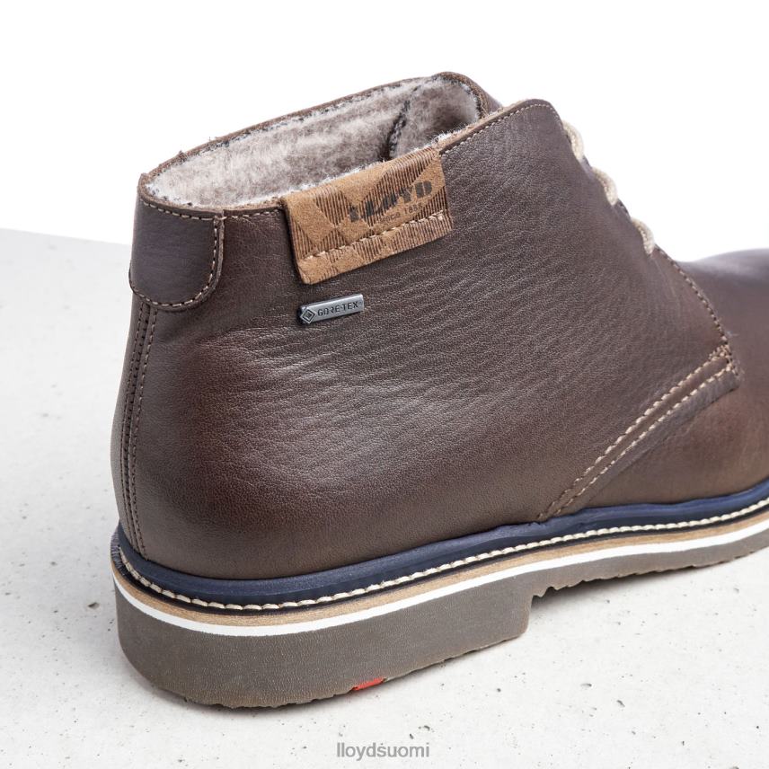 kenkiä LLOYD valencia ruskea miehet 2N8DX508