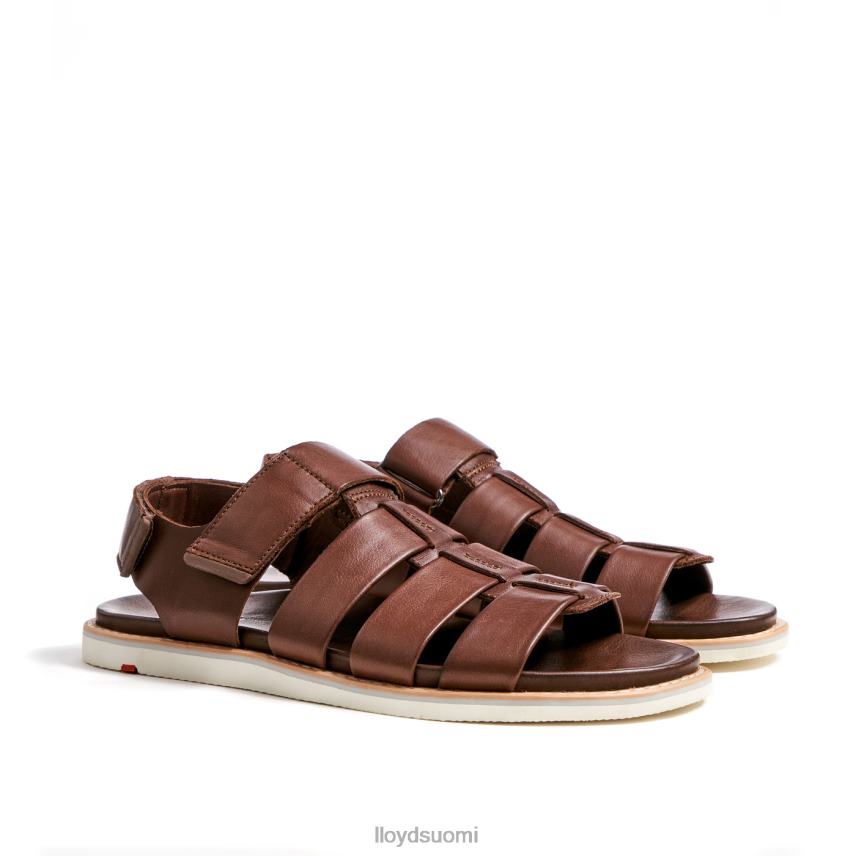 kenkiä LLOYD elimar ruskea miehet 2N8DX583