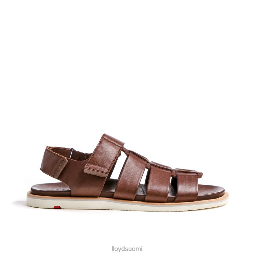 kenkiä LLOYD elimar ruskea miehet 2N8DX583