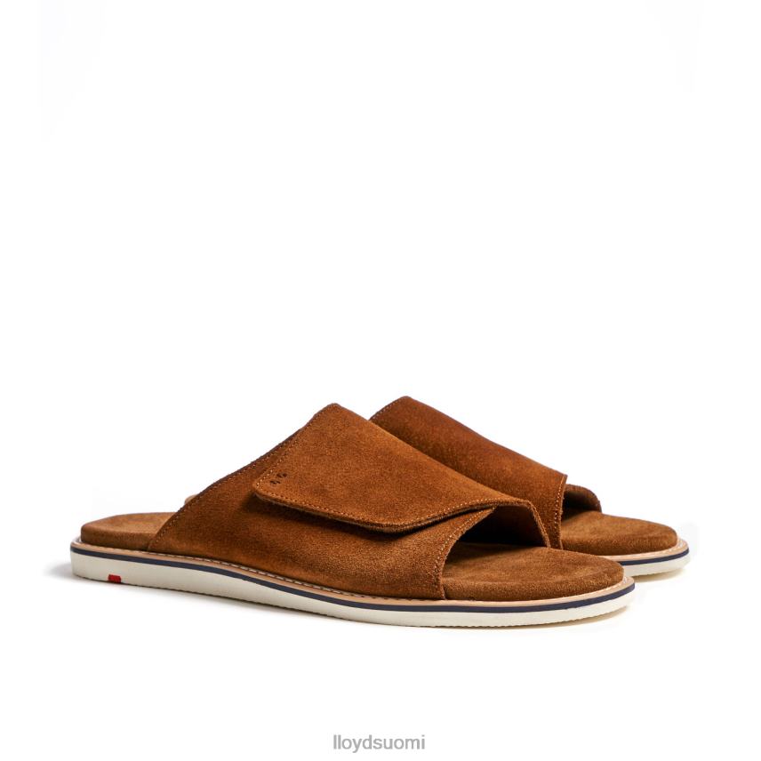 kenkiä LLOYD elios ruskea miehet 2N8DX581