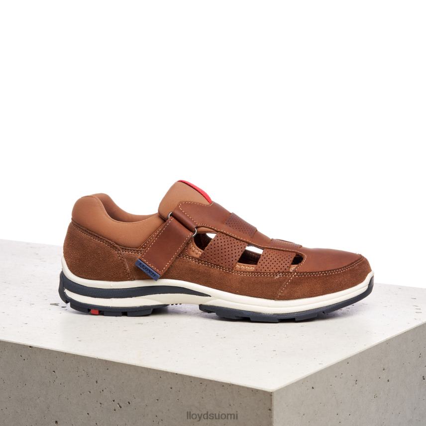 kenkiä LLOYD elrado ruskea miehet 2N8DX625