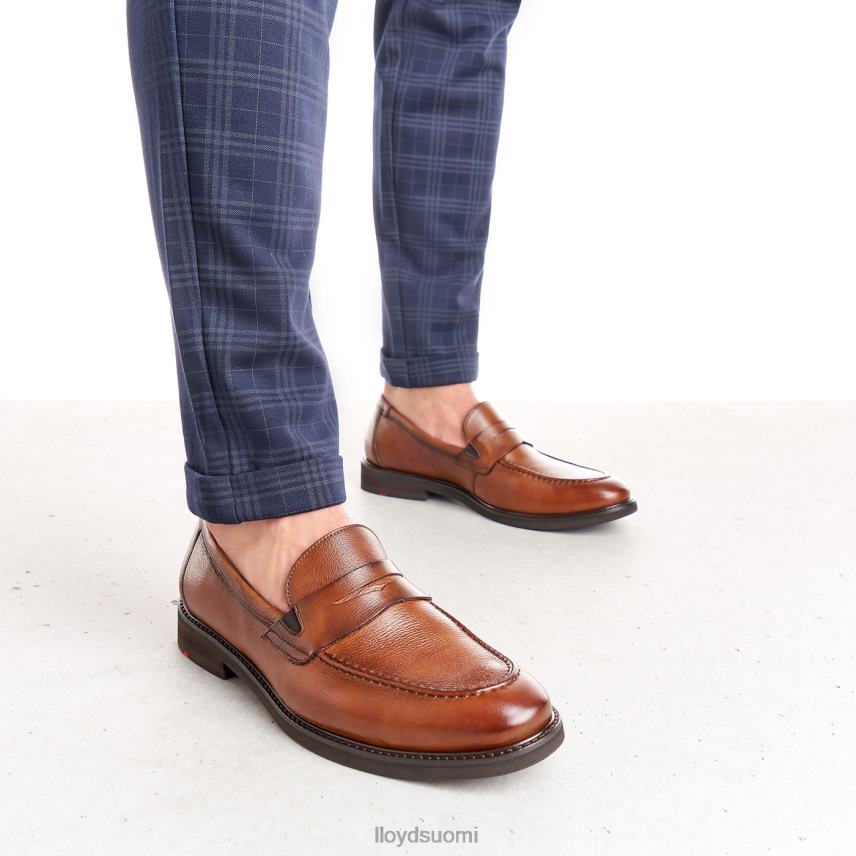 kenkiä LLOYD reg ruskea miehet 2N8DX169