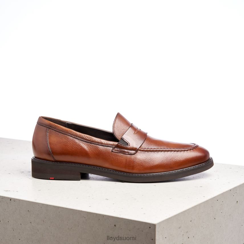 kenkiä LLOYD reg ruskea miehet 2N8DX169