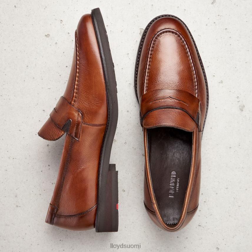 kenkiä LLOYD reg ruskea miehet 2N8DX169