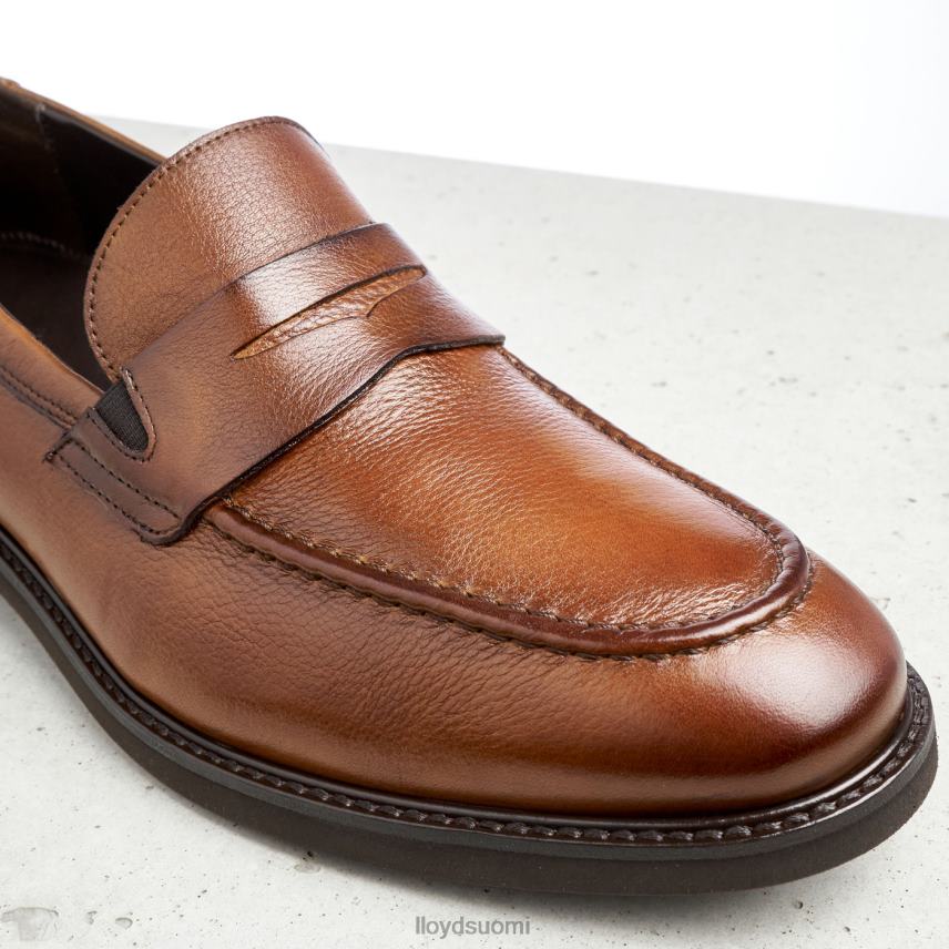 kenkiä LLOYD reg ruskea miehet 2N8DX169